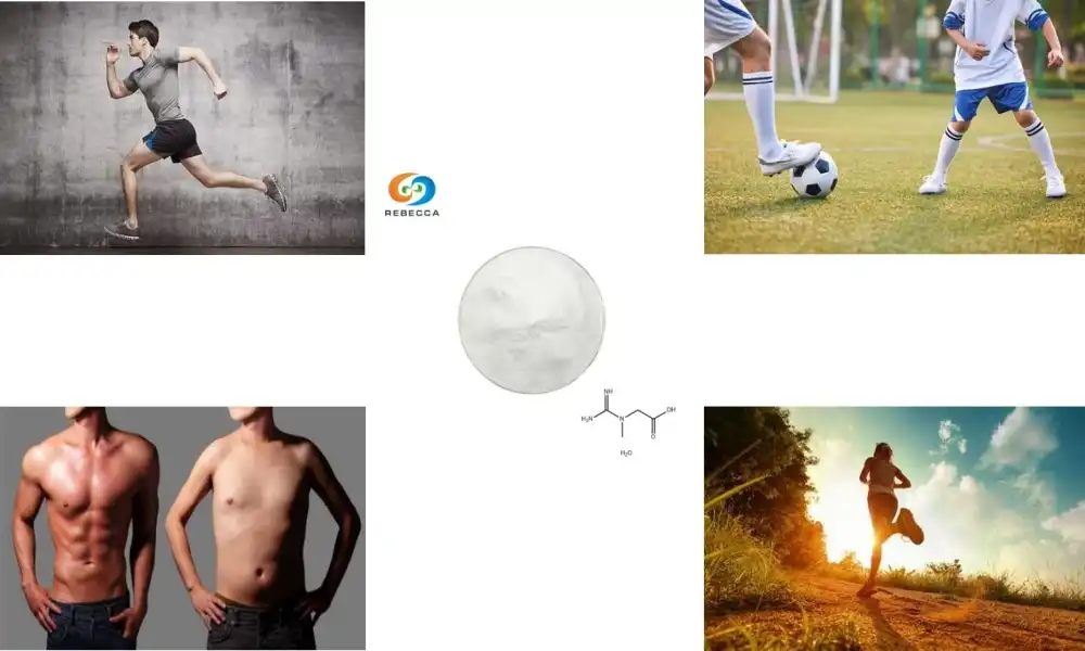 Creatine Monohydrate Powder: The Gold Standard for Athletes